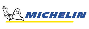 miche Leading SEO Agency